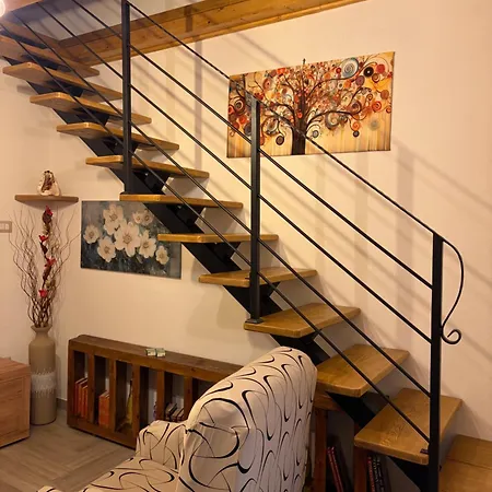 Rosa Life House * Gasponi