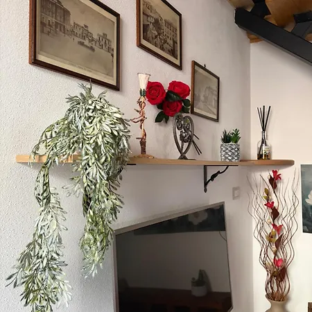 Rosa Life House * Gasponi